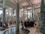 Beautiful view with marble trees